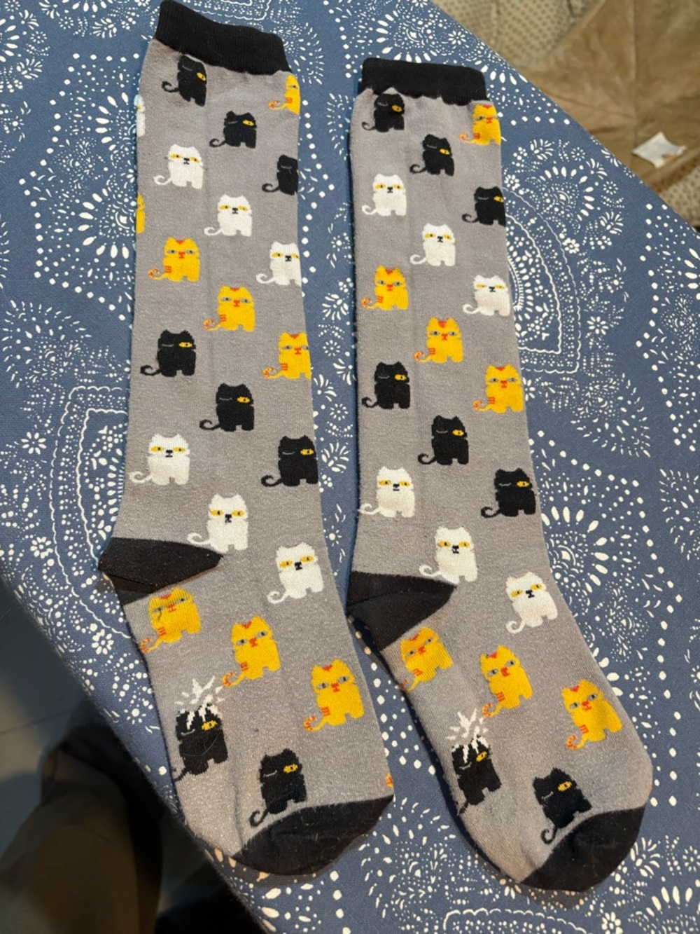 Gray cat knee-socks, women’s OS